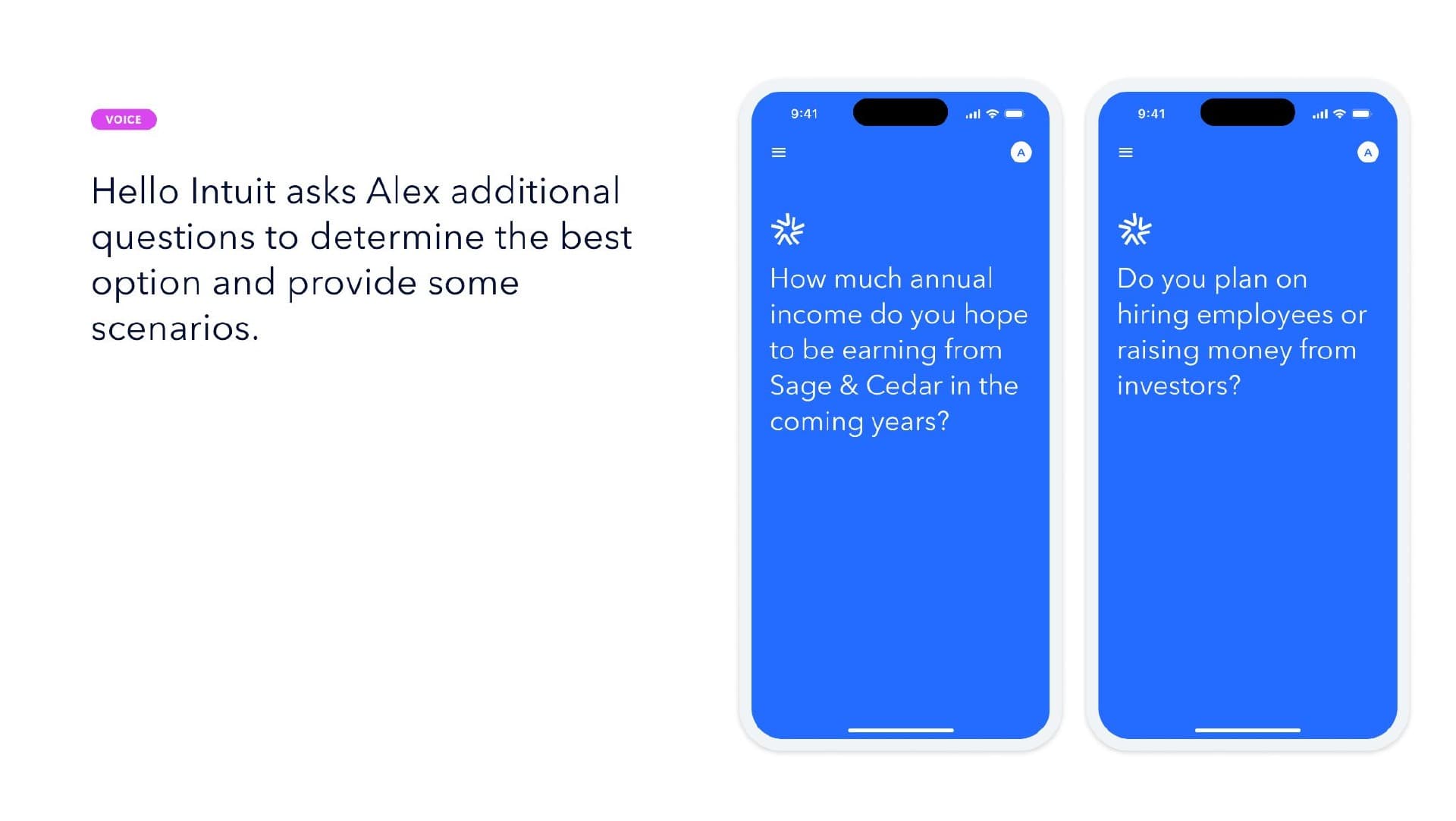 Hello Intuit — voice asks Alex about income goals and hiring plans to determine best entity type